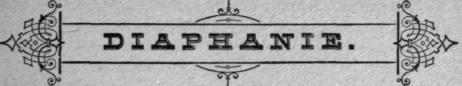 Diaphanie 51