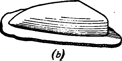 Finding Blank 300383