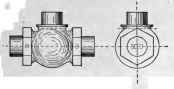 Globe Valve 100339