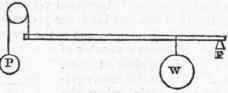 Lever 46