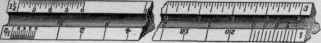 Fig. 119   Triangular Boxwood Scale.