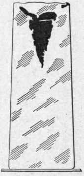 Steel ingot showing defective head piping without anti piping thermit