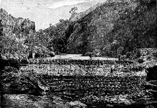  FIG. 1.   DAM ON THE RIBEIRAO INFERNO AT PORTATO DE FERRO.