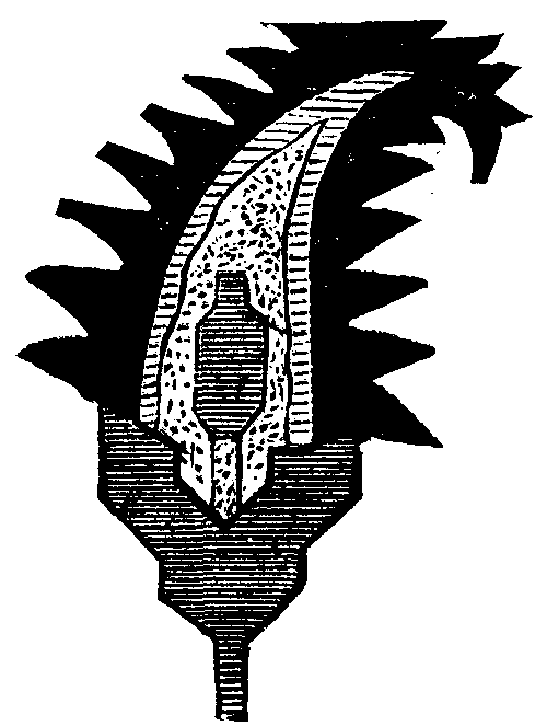 On The Evolution Of Forms Of Ornament 460 8i