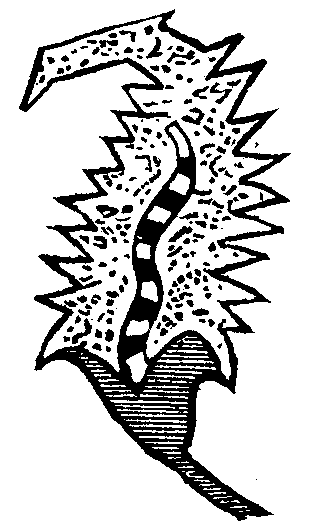 On The Evolution Of Forms Of Ornament 460 8j