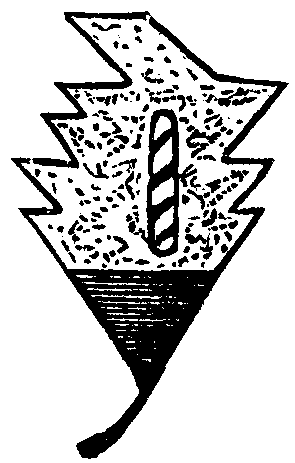 On The Evolution Of Forms Of Ornament 460 8k