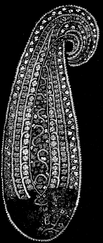 On The Evolution Of Forms Of Ornament 460 8l