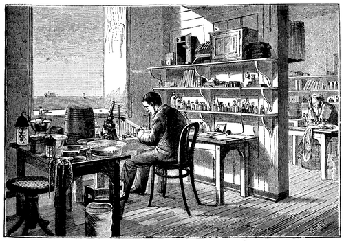FIG. 2. INTERIOR OF ONE OF THE STALLS FOR STUDY.