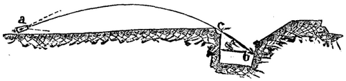 The Use Of Iron In Fortification 531 1d