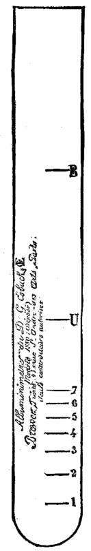 Albumen 611 9b