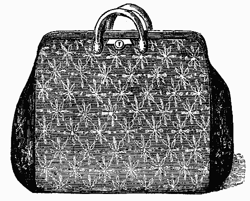 FIG 1.   THE CARPET BAG.