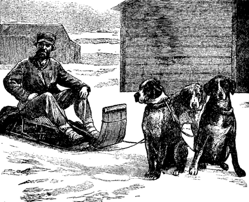 FIG. 19.   DOG POST AT LAKE SUPERIOR.