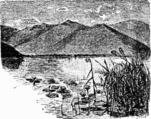 THE SHORES OF LAACHERSEE.