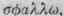 Order CXLVIII Liliaceae Lilyworts Part 5 2040