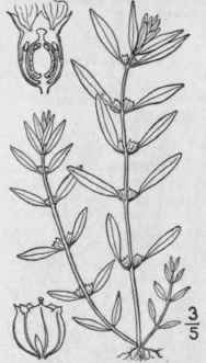 3 Rot la L Mant 2 175 1771 1344