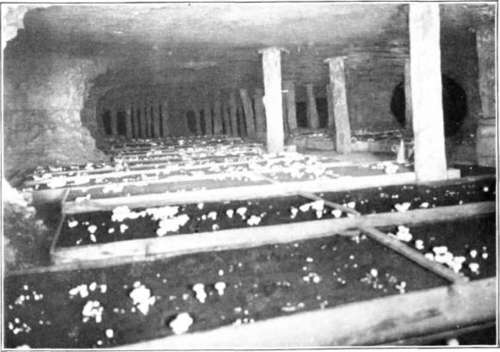 Figure 223. View in Akron tunnel, N
