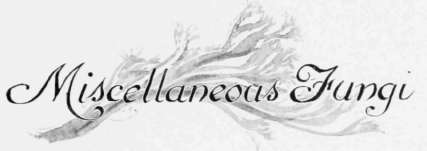 Miscellaneous Fungi 63