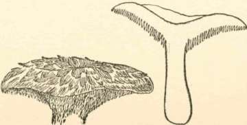 Section 4