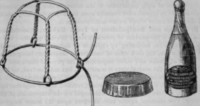 Fig. 294.   Patent Wire and Cap, with Specimen of Finished Bottle