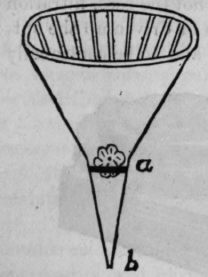 Fig. 358.   Glass Funnel