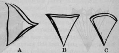 Fig. 359.   Paper Filters