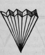 Fig. 360. Plaited Paper Filter