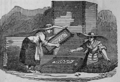 Fig. 399.   Frames with inodorous Fat for extracting Flowers