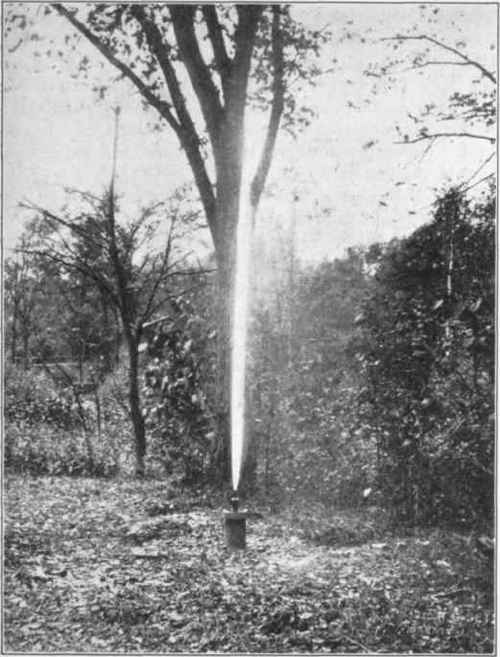 Fig. 5. One of the several spouting springs in Geyser Park, Saratoga. (Courtesy of the Commissioners of the State Reservation at Saratoga Springs.)