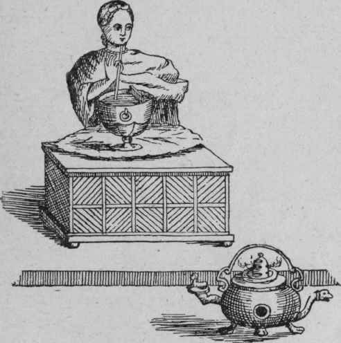 St. Bartholomew's Herb