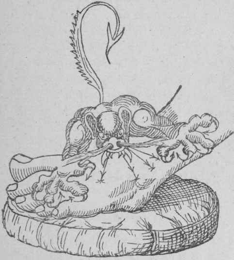 The Gout