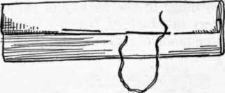 Fig. 117