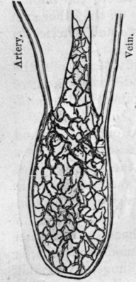 Fig. 32.
