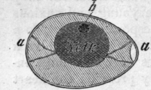 Fig. 43.
