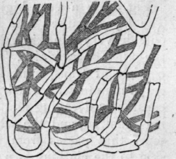 Fig. 57.