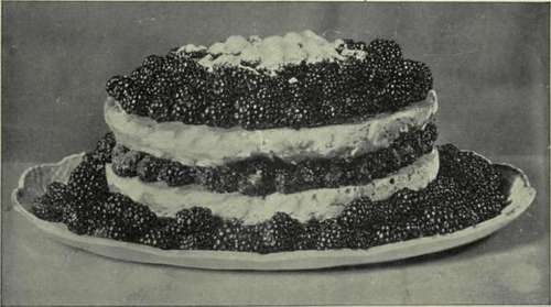 Blackberry Shortcake