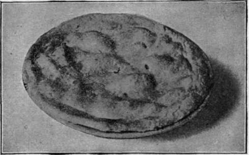 Apple Pie In Deep Plate