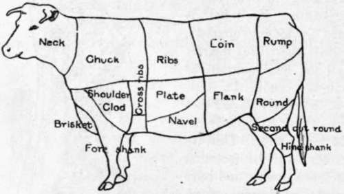 Cuts Of Beef According To The U. S. Department Of Agriculture