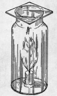 Fig. 8. A Candle Burns Vigorously in Oxygen