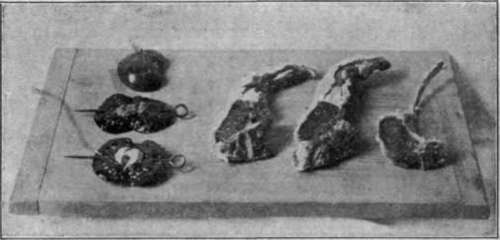 Lamb Chops And Kidneys