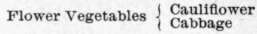Vegetables 172