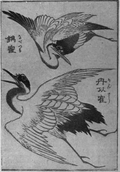 A Japanese study in which the effect is gained by a bold arrange ment of mass and line, of exquisite symmetry and truth to nature