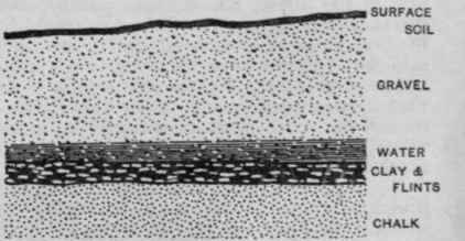 A good site. Water deep below surface. Dry and warm