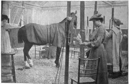 An animal model in the Glass House. This is the most important of the six studios. It has a gravel floor, and a roof and sides of glass, so that the lighting effect on a model is that of an open air pose