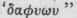 Davida (Hebrew)     Beloved.   Vida  is a contraction.