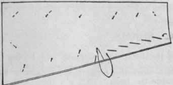 Diagram 6