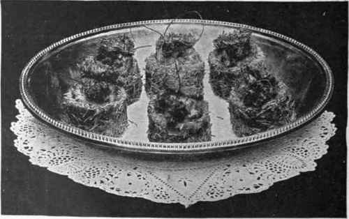 Eouchees of lobster