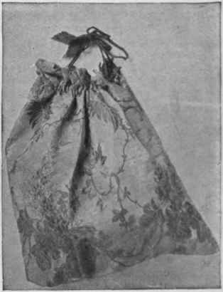 Evening Slipper Bag