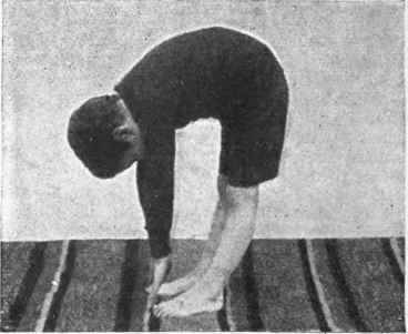 Fig. 4. Bending until the finger tips touch the toes