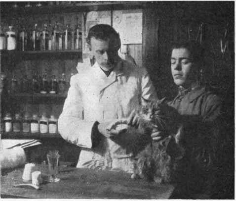 Modern veterinary surgery: setting a broken leg Photo C. Vandyk breadcrumbs, and gravy. Cat's meat is not advisable, and should not be given.