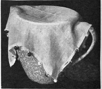 Muslin Milk Jug Cover Another present that can be made by a young child